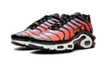 AIR MAX PLUS MNS WMNS "Sisterhood" DO6115 500