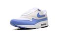 Air Max 1 WMNS "Royal Pulse" DZ2628 113