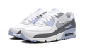 AIR MAX 90 WMNS "Cobalt Bliss" FB8570 100