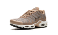 AIR MAX PLUS WMNS "United In Victory" FB2557 200