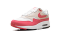 Air Max 1 WMNS "Aster Pink" DZ2628 110
