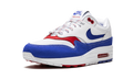 Air Max 1 Premium "Puerto Rico" CJ1621 100