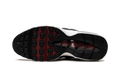 Air Max 95 "Anthracite Team Red" DQ3982 001