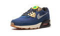 Air Max 90 "City Pack - Tokyo" CW1409 400