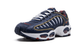 Air Max Tailwind 4 "USA" CK0849 400