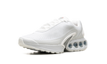 Air Max Dn "White Metallic" FJ3145 100