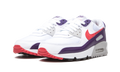 Air Max 90 WMNS "Eggplant" CW1360 100