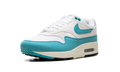Air Max 1 WMNS "Blue" DZ2628 107
