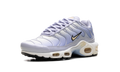 Air Max Plus WMNS "Daybreak" DZ3670 004