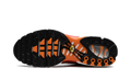 Air Max Plus "Light Photography - Sport Red" DZ3531 600