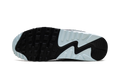 Air Max 90 "Pumice" DM0029 009